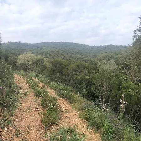 Loue Maison De Village A Hyeres/ Les Borrels Appartement Hyères