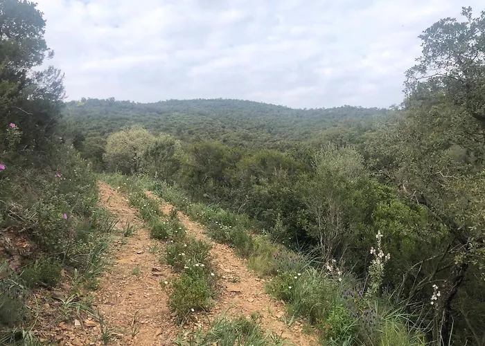 Loue Maison De Village A Hyeres/ Les Borrels Διαμέρισμα Ιέρ